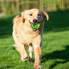 Load image into Gallery viewer, LunaroPets™ - Dog Giggle Ball
